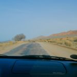 Driving-Sheep-Kyrgyzstan