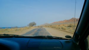 Driving-Sheep-Kyrgyzstan