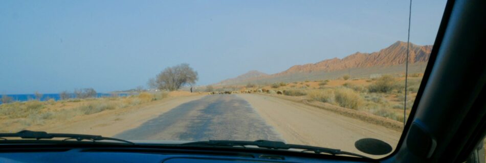 Driving-Sheep-Kyrgyzstan