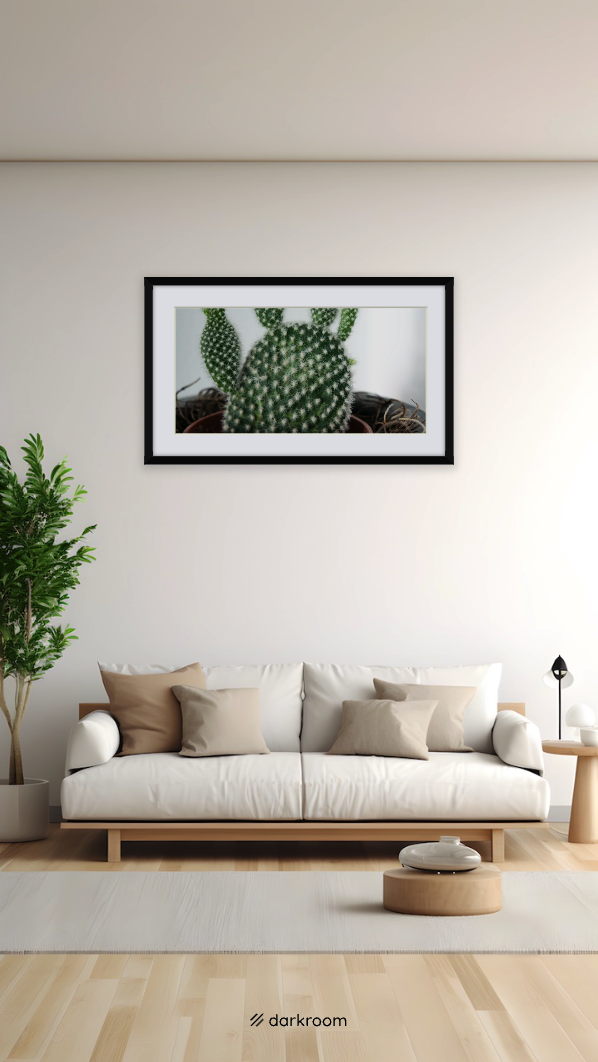 Bunny Ear Cactus Print