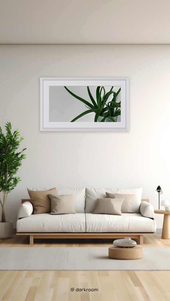 Aloe Vera Print