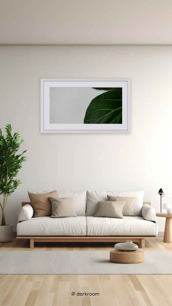 Screenshot 2024 08 08 at 5.15.06%E2%80%AFPM Fiddle Leaf Fig Plant Care Guide